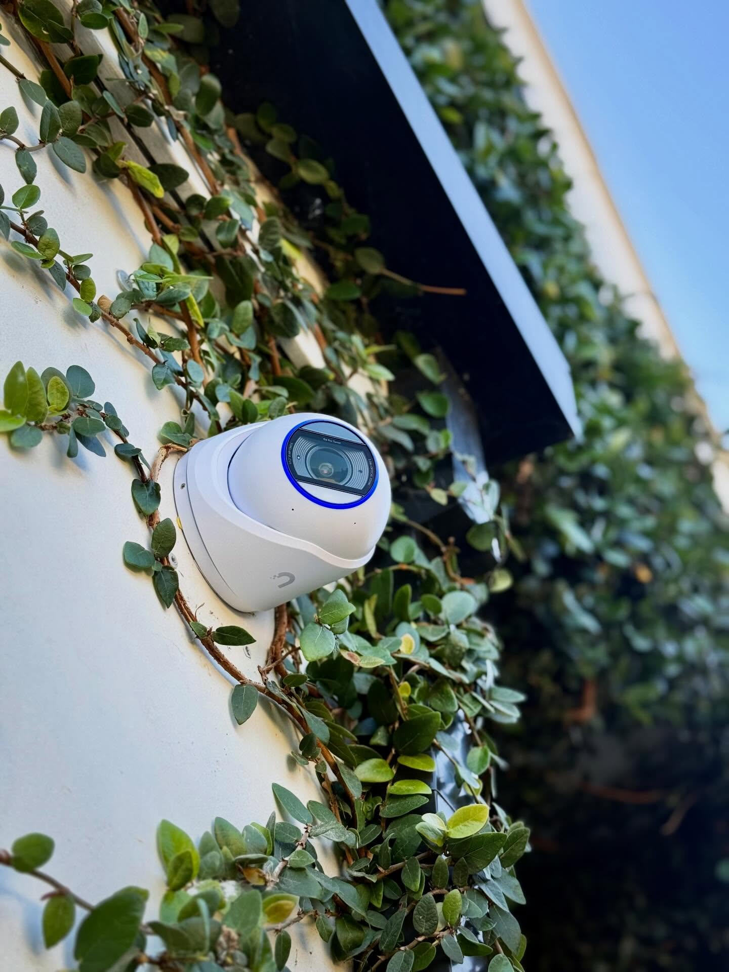 CCTV and Video Management. 